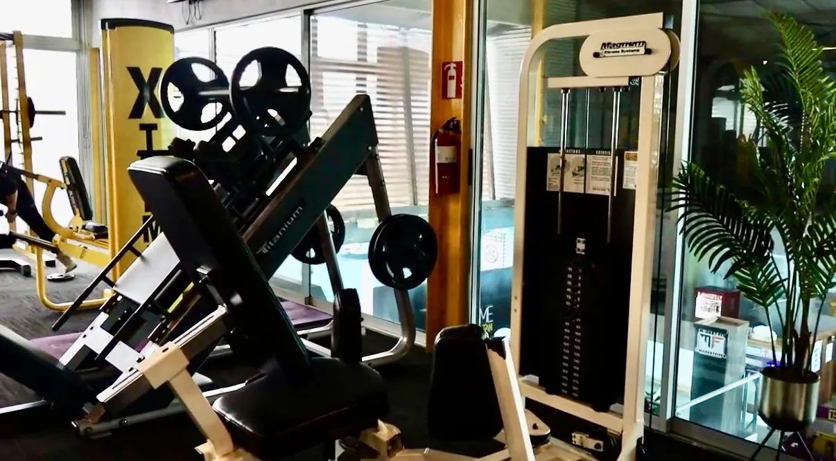 Remo sentado — piso de Xtreme Gym